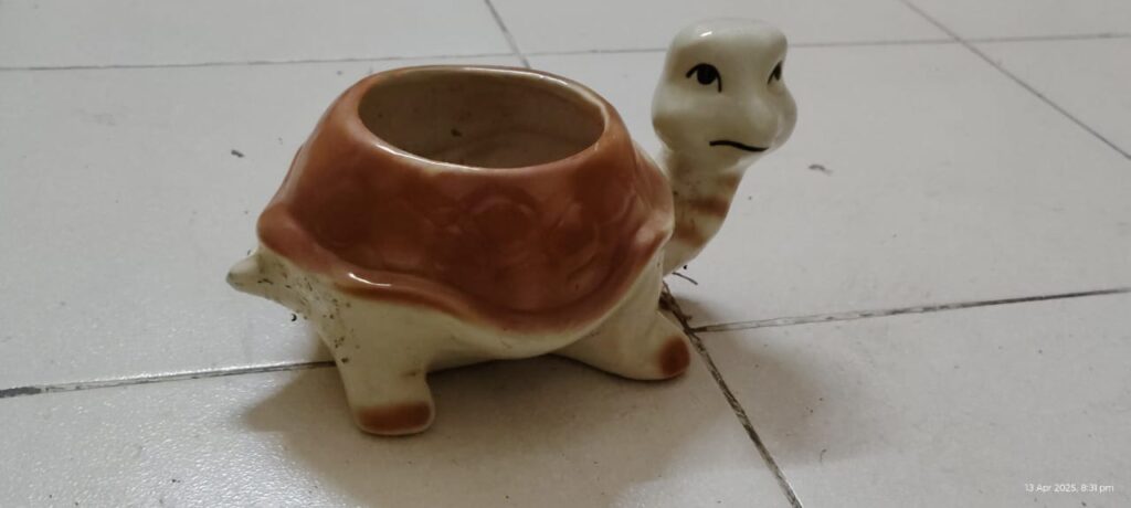 whatsapp image 2025 09 04 at 1.52.49 pm (1)