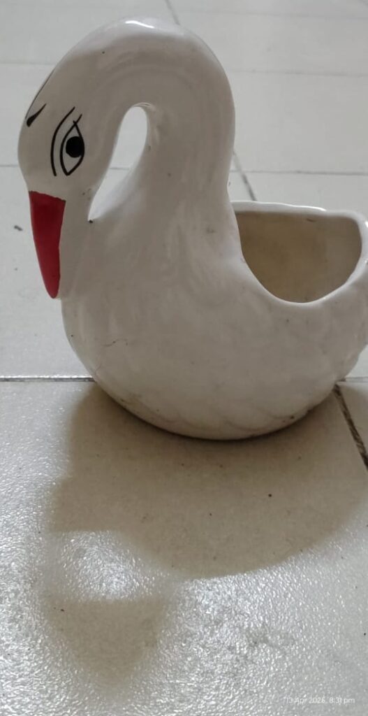 whatsapp image 2025 09 04 at 1.52.49 pm